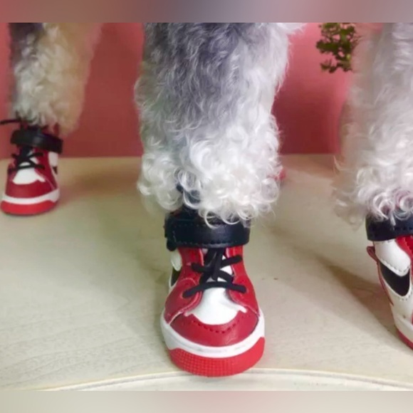 Dog Boots - Picture 10 of 10